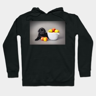 Labrador retriever puppy Hoodie